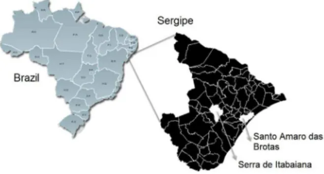 Figure 1. The map indicates locations of sampling of peat in Sergipe  State, Brazil.
