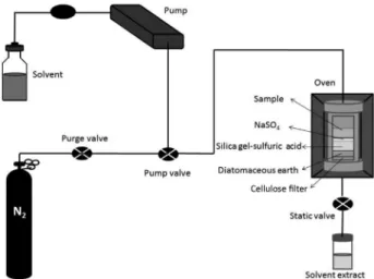 Figure 2. Accelerated solvent extraction-solid phase extraction  (ASE-SPE) scheme.