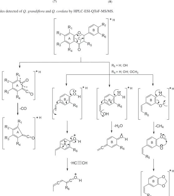Figure 4. Proposed pathway fragmentation of the protonated flavonoids from Qualea species.