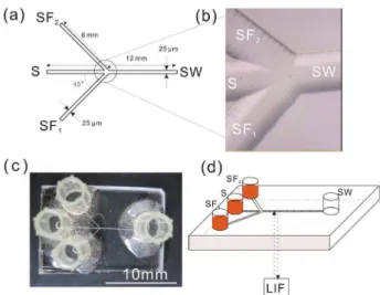 Figure 1. (a) Schematic diagram of the channel design of the microfluidic  chip. (b) Photograph of the partly enlarged junction of the microfluidic  chip
