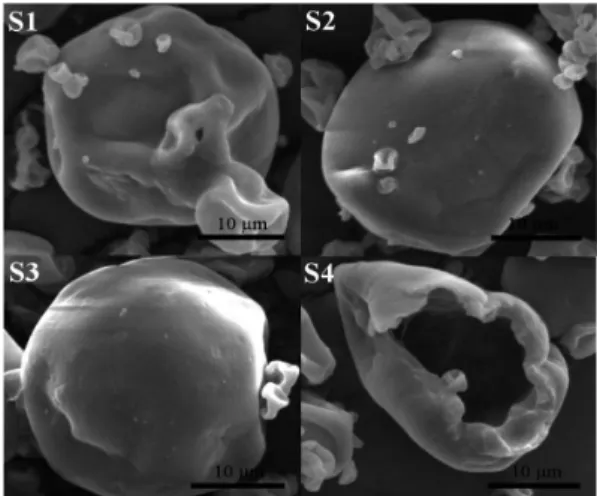 Figure 3. FEG-SEM images of microcapsules obtained from dried  emulsions.