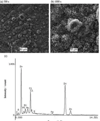 Figure 7. Morphology of the corrosion products on the galvanized steel  after a 3 month exposure: SEM images ((a) 500 × and (b) 1000 ×) and  (c) EDX spectrum (2000 ×).