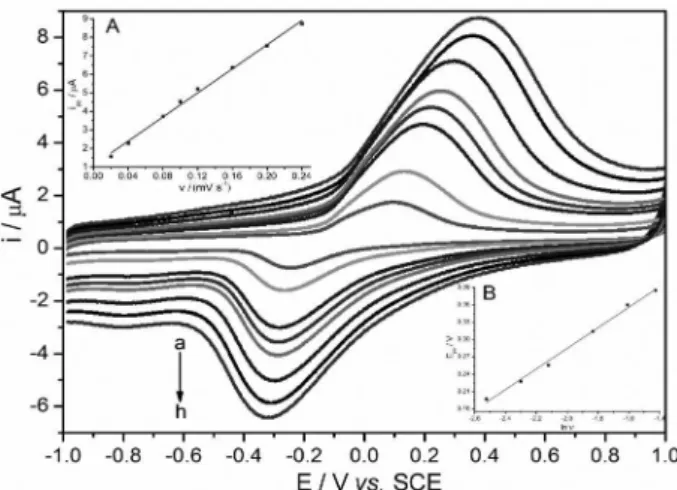 Figure 5. CV curves of 0.1 µmol L −1  phloroglucinol at GO/Fe(OH) 3 /GCE  with different scan rates in 0.1 mol L −1  PBS of pH 7.0 and the plot for the  linear relationship of (A) i pa  vs