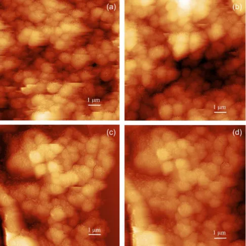 Figure 3 shows the Ru, Ti 0.5 Ru 0.5 , Ti 0.75 Ru 0.25 , Ti 0.25 Ru 0.75 electrodes presented roughness of 0.12, 0.24, 0.20 and  0.80 µm, respectively