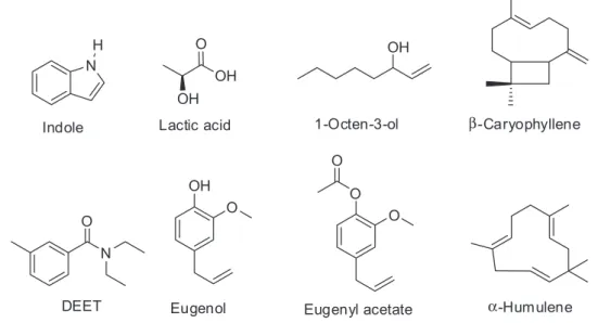 Figure 1. Structures of the molecules studied.