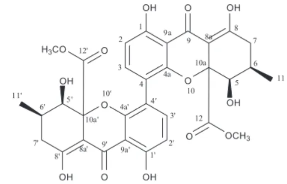 Figure 2. Key long-range correlations observed in the HMBC and NOESY  of compound 1.