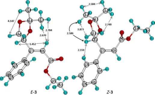 Figure 2. Optimized geometries of the E and Z forms of the adduct 3.