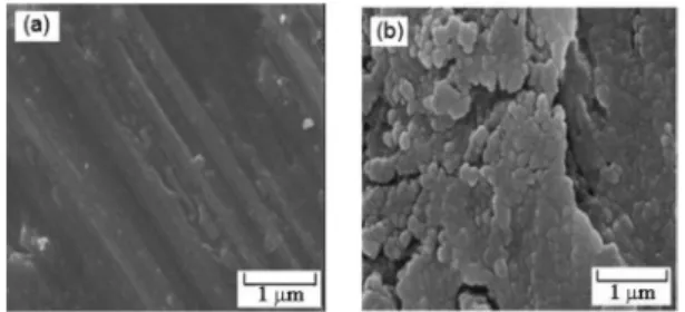 Figure 2. SEM micrograph of (a) Ti and (b) Ti/TiO 2  electrodes.