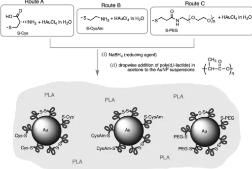 Figure 2. Schematic representation of PLA@Au NP preparations. Three different AuNPs were used: (A) AuNP functionalized with cysteine, (B) AuNP  functionalized with cysteamine and (C) AuNP functionalized with PEG-SH and cysteamine