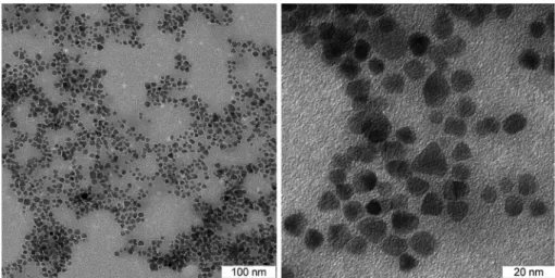 Figure 7. TEM micrographs from Mag-1 sample.