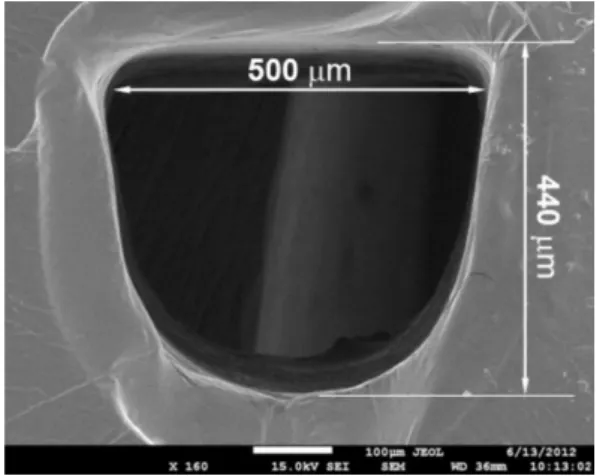 Table 1. Dimensions of the proposed microfluidic device