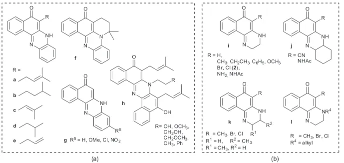 Figure 1. Benzophenazines (a) and dihydrobenzoquinoxalines (b) synthesized from 1,4-naphthoquinones.