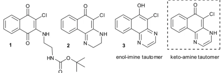 Figure 2. Structures of the compounds synthesized in this study and of the possible tautomers of compound 3.