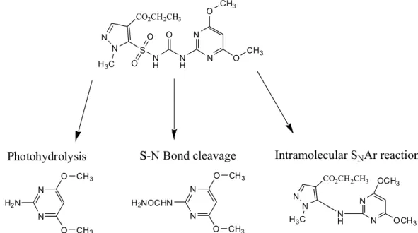 Figure 4. Hypothetical photodegradation pathway of pyrazosulfuron-ethyl in aqueous solution.