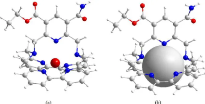 Figure 1. Structure of the representative cryptate complex.
