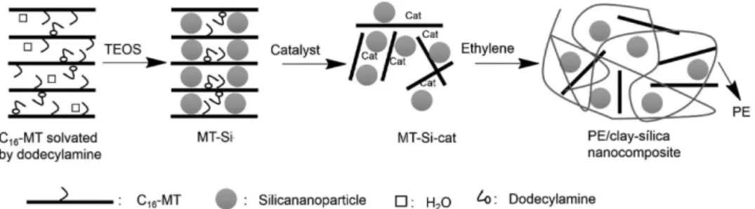 Figure 19. Schematic illustration of mechanism for formation of MT-Si and the PE/clay-silica nanocomposites
