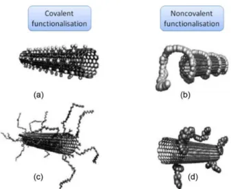 Figure 13. Different routes for nanotubes’ functionalization: sidewall  covalent functionalization (a); defect-group covalent functionalization  (b); noncovalent polymer wrapping (c); noncovalent pi-stacking (d)