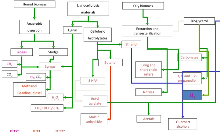Figure 3. Proile of the entropy change in the gasiication process (left)  compared to the approach based on bioreinery (right) in which complex  structured molecules are extracted from the raw material.