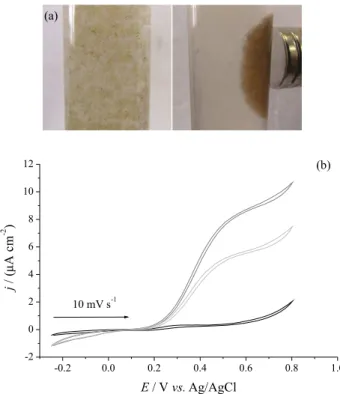 Figure 7. (a) Pictures showing the magnetic response of Fe 3 O 4 -Chi-Fc/GOx   in aqueous suspension in the presence of a magnet