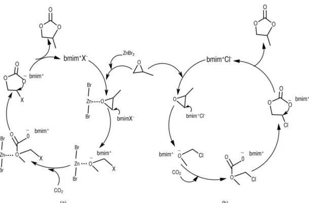 Table 2. Temperature effect in the PC synthesis using [bmim][Tf 2 N] and  ZnBr 2  as catalyst entry Temperature /  K Yield / % Selectivity / % TON TOF / h−1 13 373.15 65 96 24.9 4.16 4 383.15 90 82 29.5 4.92 14 393.15 75 68 20.4 3.40 15 403.15 68 94 25.6 4