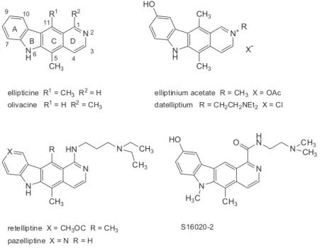 Figure 1. Structures of ellipticine, olivacine and anticancer agents derived thereof.