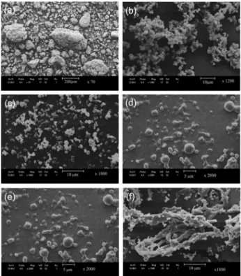 Figure 5 shows the DSC curves of the second heating  scan for PHBV and PHBV/SO microparticles