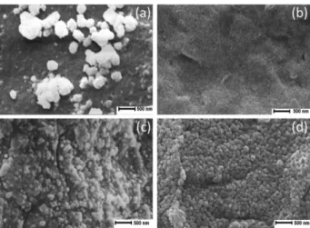Figure 6. SEM micrographs of PE/PbS films obtained using the PE/PAA   film treated with Pb(NO 3 ) 2  0.75 mol L -1 