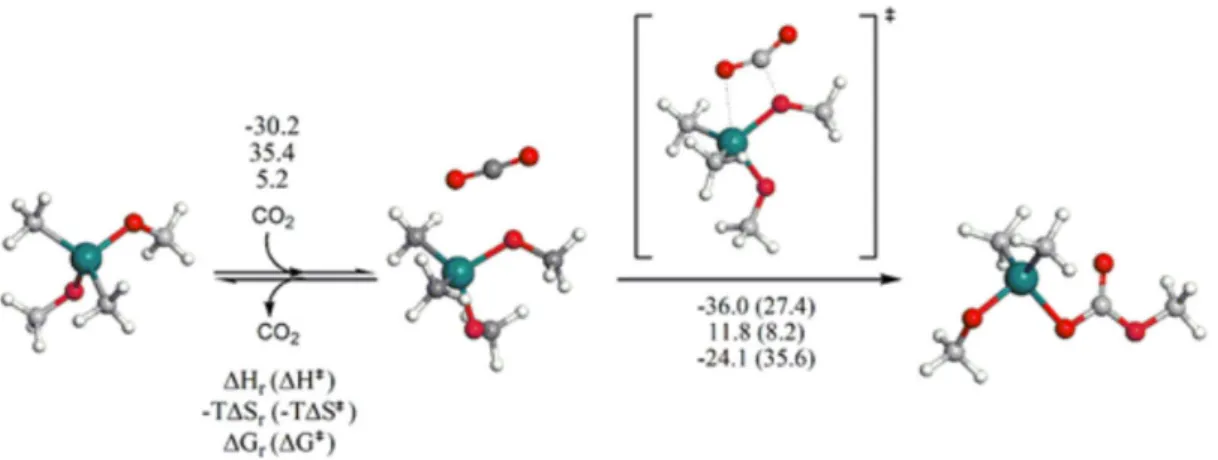 Figure 2 shows the effect of the substituents on the  kinetic parameter ( ∆ G ‡ ) for the insertion of CO 2  molecule  in the Sn–OCH 3  bond of the (CH 3 ) 2 Sn(OCH 3 ) 2  monomer
