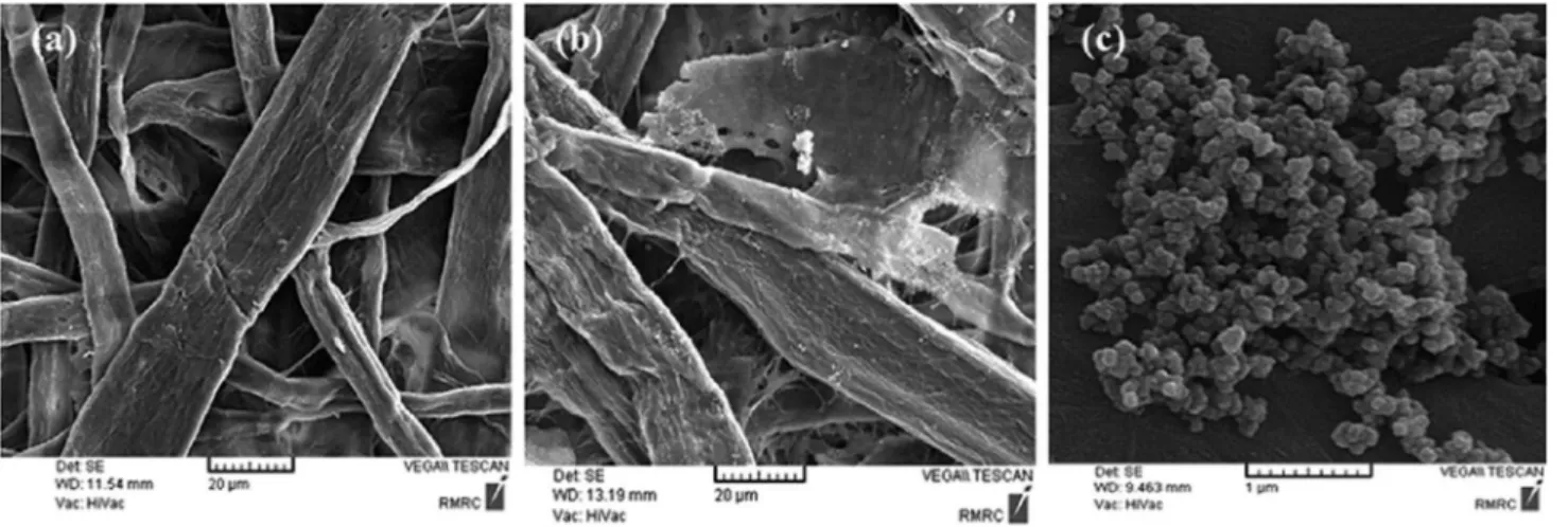 Figure 1. SEM images of the filter paper before polymerization (a) and PANI/PPY-cellulose nanocomposite with low (b) and high (c) magnifications.
