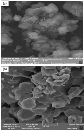 Table 1. Vibrational bands (cm -1 ) observed by FTIR and their  corresponding attributions