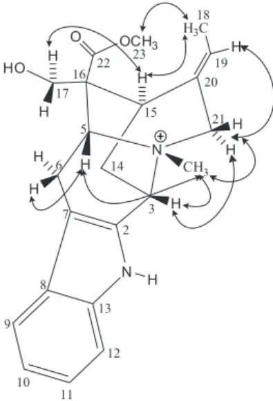 Figure 5. Key dipolar interactions observed in the NOESY spectrum of  compound 8.