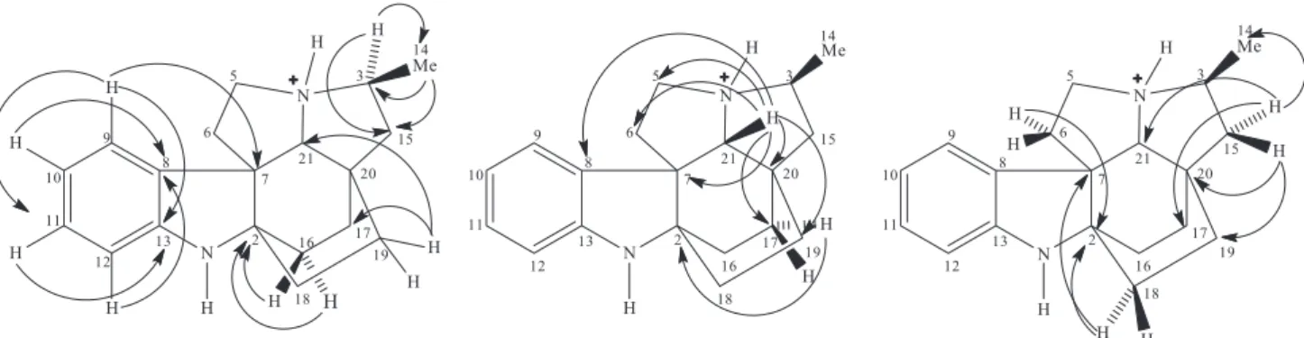 Figure 2. Key long-range correlations for protonated compound 1 observed through the HMBC spectrum.