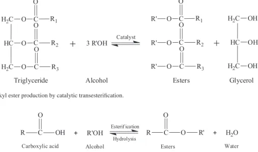 Figure 1. Fatty acid alkyl ester production by catalytic transesterification.