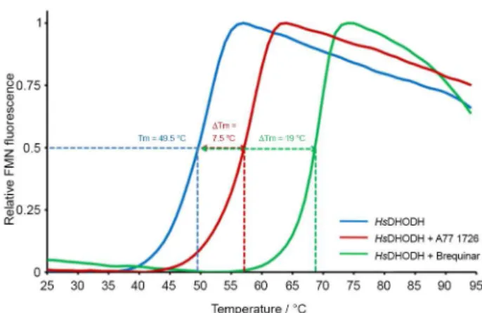 Figure 5. Effect of antiproliferative agents on thermal stability of human  dihydroorotate dehydrogenase