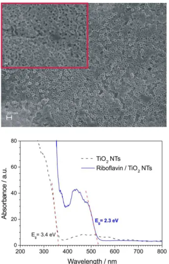 Figure 2 also shows that after RF visible light excitation,  an eficient electron transfer from the singlet state of the  RF to the conduction band of the TiO 2  NTs takes place