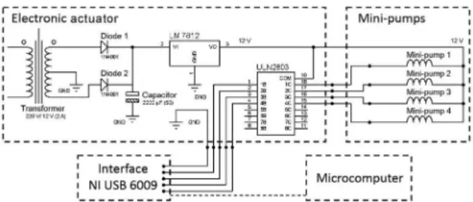 Figure 1. Schematic diagram of the lab-made electronic actuator  connected to mini-pumps, NI USB6009 interface and microcomputer.