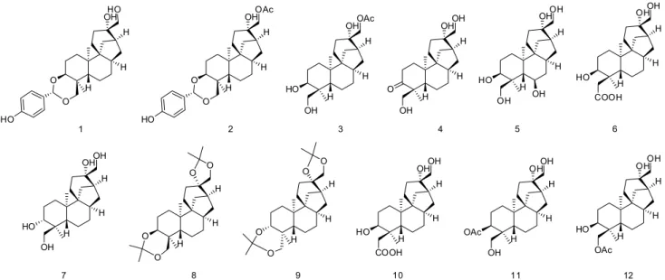 Figure S1. Structure of aphidicolin derivatives via biotransformation reactions.