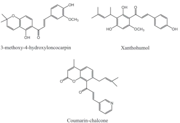 Figure 1. Biologically important chalcones.