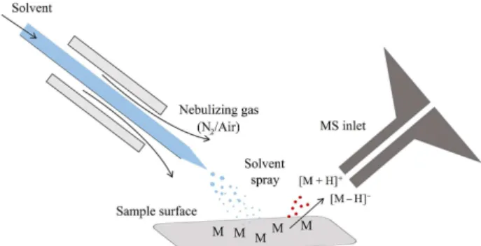 Figure 1. Schematic representation of typical EASI-MS experiments. 