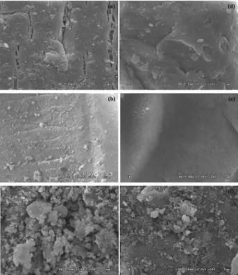 Figure 2. The FT-IR spectra: (a) alumina and alumina modified with  8.2 mmol L −1  SDS; (b) silica and silica modified with 0.9 mmol L −1 CTAB; and (c) zeolite and zeolite modified with 10.0 mmol L −1  CTAB.