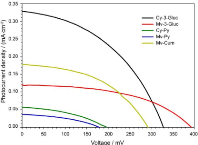 Figure 6. Photocurrent-voltage curves of the DSSCs sensitized with  different natural extracts.