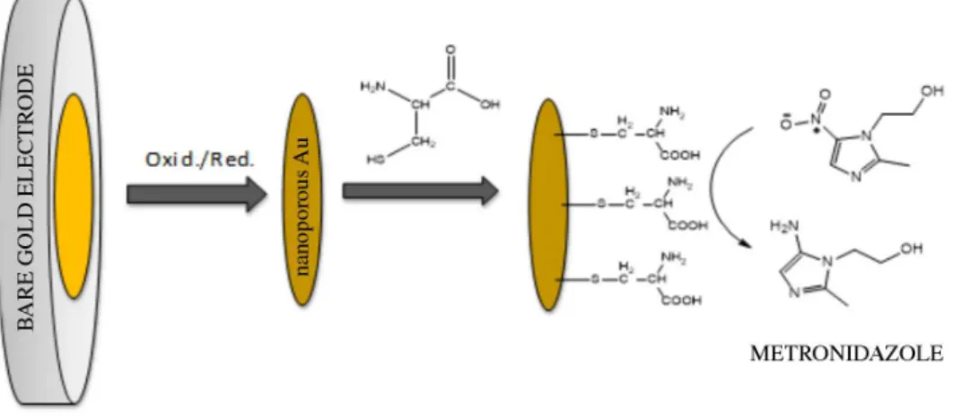 Figure 5. Schematic of the formation of a self-assembled monolayer of cysteine on the nanostructured screen-printed gold electrode.