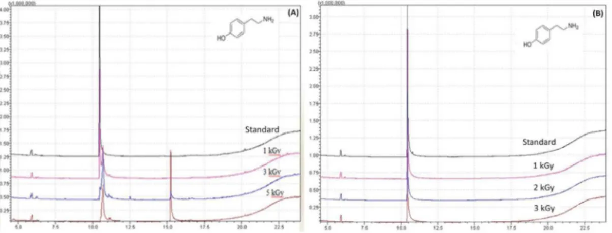 Figure S4. Plot of the tyramine concentration vs. irradition dose for the methanolic solutions (A) and the aqueous solutions (B).