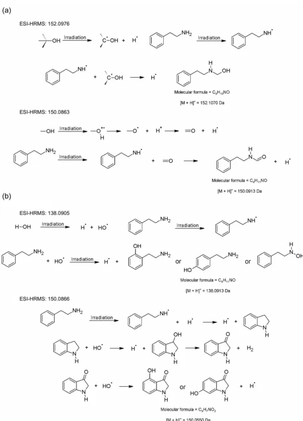 Figure 2. Proposed structures of the main radiolytic products of the methanolic (a) and aqueous (b) solutions of phenylethylamine and possible mechanistic  schemes for their formation.