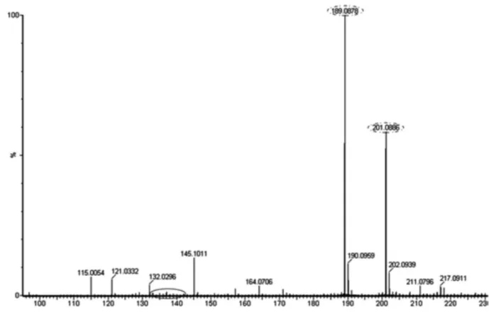 Figure 6. ESI-HRMS spectra for the aqueous solution of tyramine irradiated at 5 kGy for 170 min.