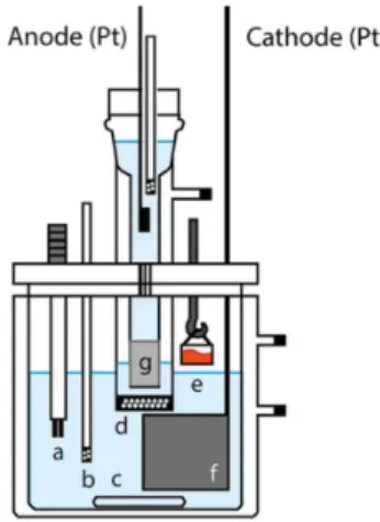 Figure 1. A diagram of the coulometric glass cell used to characterize  the candidate CRM of K 2 Cr 2 O 7 : (a) a double Pt electrode for indication  signal; (b) the argon bubbler; (c) the Teflon stirring bar; (d) the intermediate  compartment with a glass