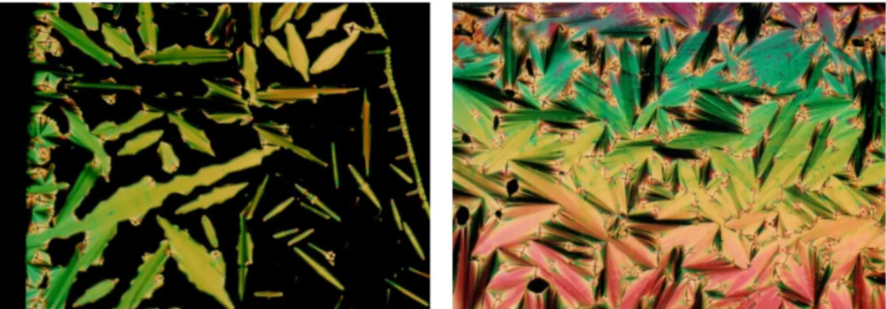 Figure 2. Growth of SmA bâtonnets (bright) of fan focal-conic texture of  SmA mesophase upon cooling at 161 °C of thiazoline 6i.