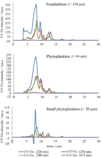 Figure 2. SEC-HPLC-UV-Vis chromatogram of plankton from Cabo  Frio Bay.