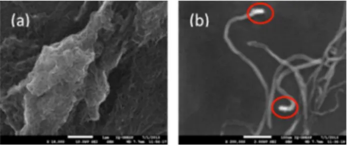 Figure 5. Lineweaver-Burk plot obtained with the biomimetic sensor in  the oxidation of diclofenac.