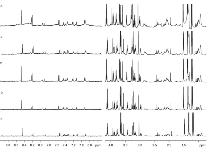 Figure 4. Expansion/detail of S180 cell  1 H HR-MAS NMR spectra (D 2 O, 500 MHz) using a CPMGPR1D pulse sequence with different numbers of  cycles: (A) 5, (B) 20, (C) 64, (D) 128 and (E) 256 (τ fixed to 1.0 ms)
